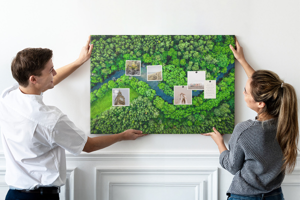 Cork memo board River in the forest