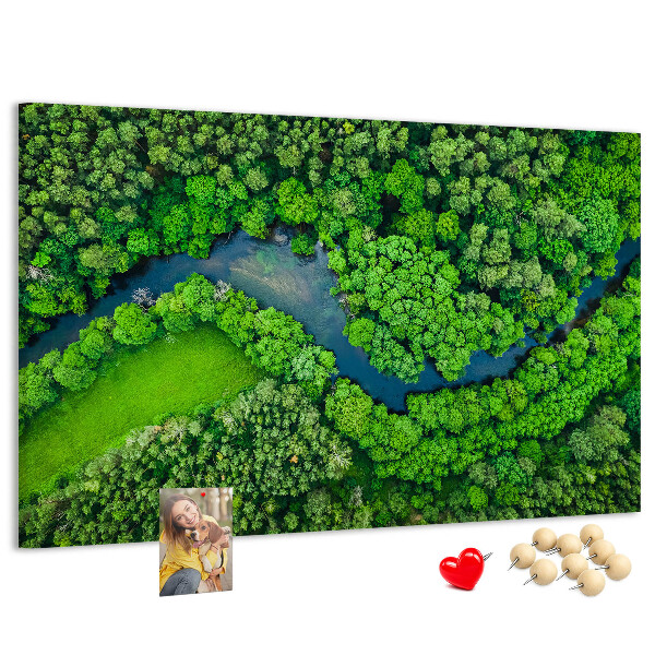 Cork memo board River in the forest