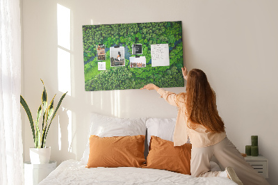 Cork memo board River in the forest