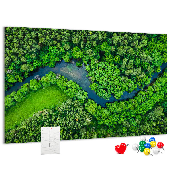 Cork memo board River in the forest