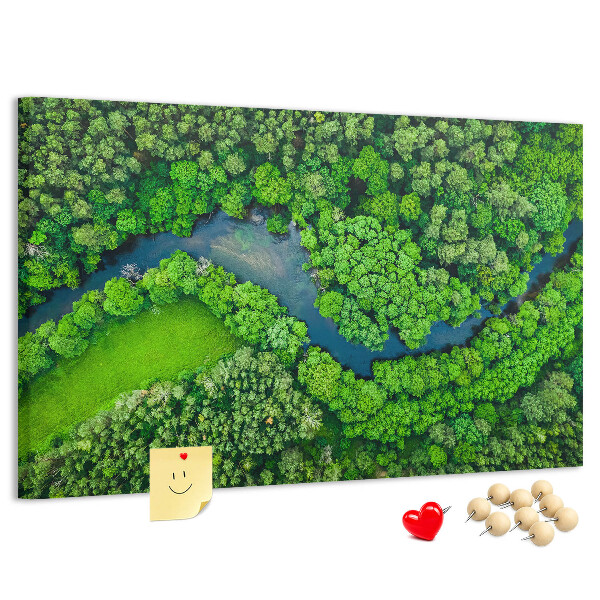 Cork memo board River in the forest