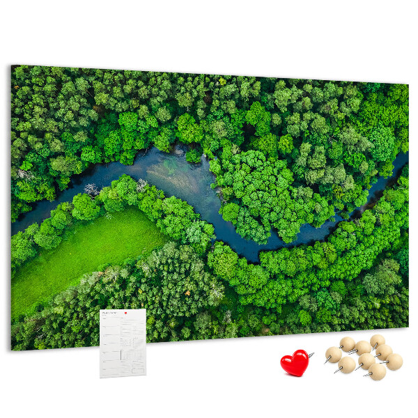 Cork memo board River in the forest
