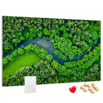Cork memo board River in the forest