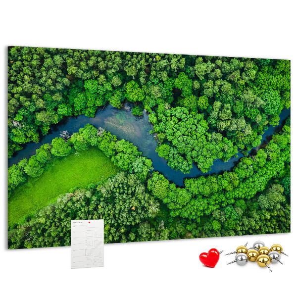 Cork memo board River in the forest