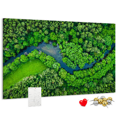 Cork memo board River in the forest