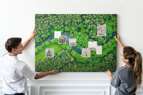 Cork memo board River in the forest