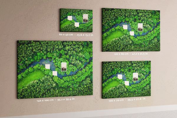 Cork memo board River in the forest