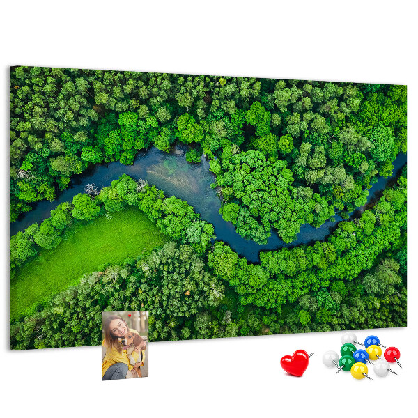 Cork memo board River in the forest