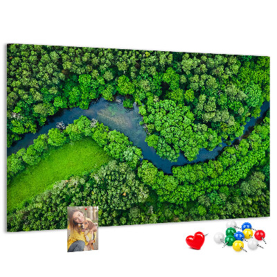 Cork memo board River in the forest