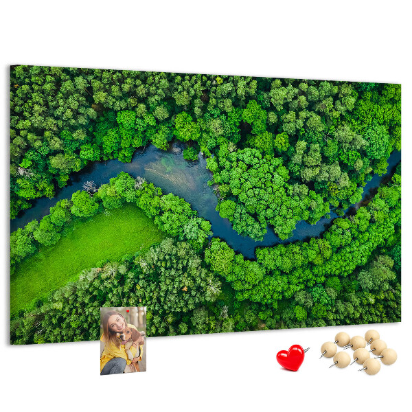 Cork memo board River in the forest