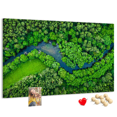 Cork memo board River in the forest