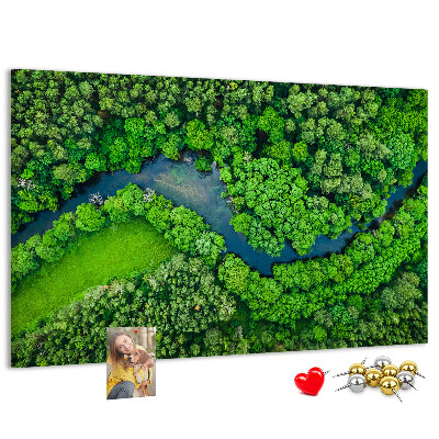 Cork memo board River in the forest