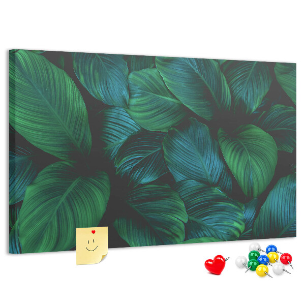 Cork board Nature leaves