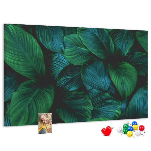 Cork board Nature leaves