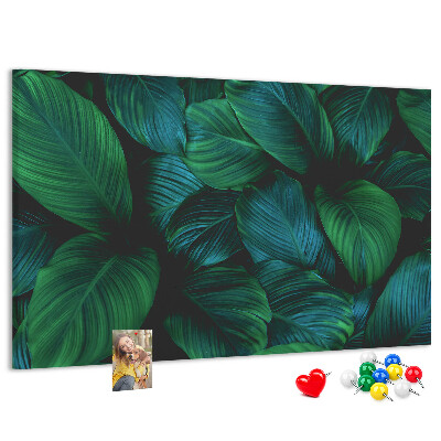 Cork board Nature leaves