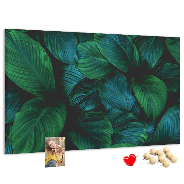 Cork board Nature leaves