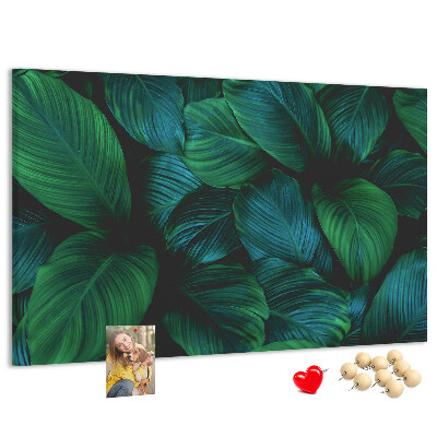 Cork board Nature leaves