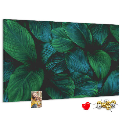 Cork board Nature leaves