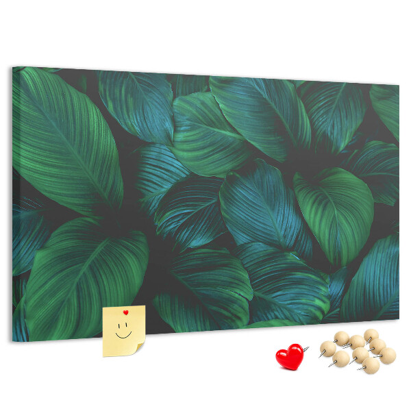Cork board Nature leaves