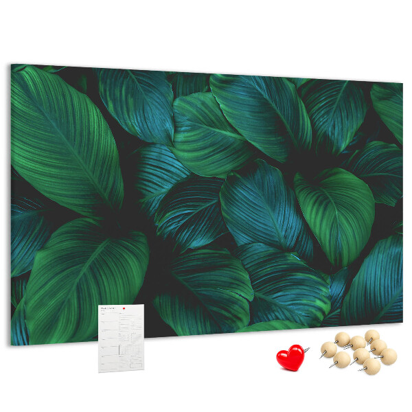 Cork board Nature leaves
