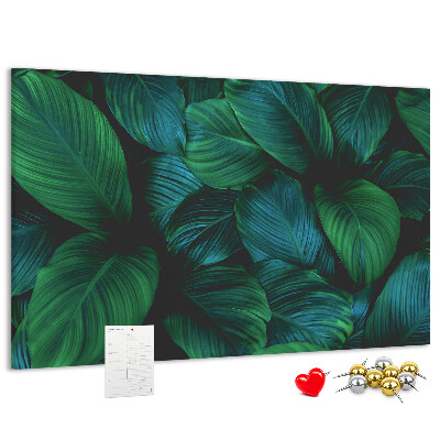 Cork board Nature leaves