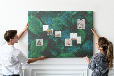 Cork board Nature leaves