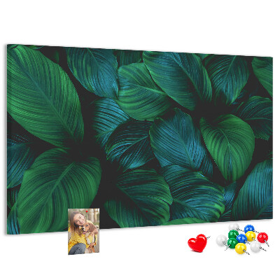 Cork board Nature leaves