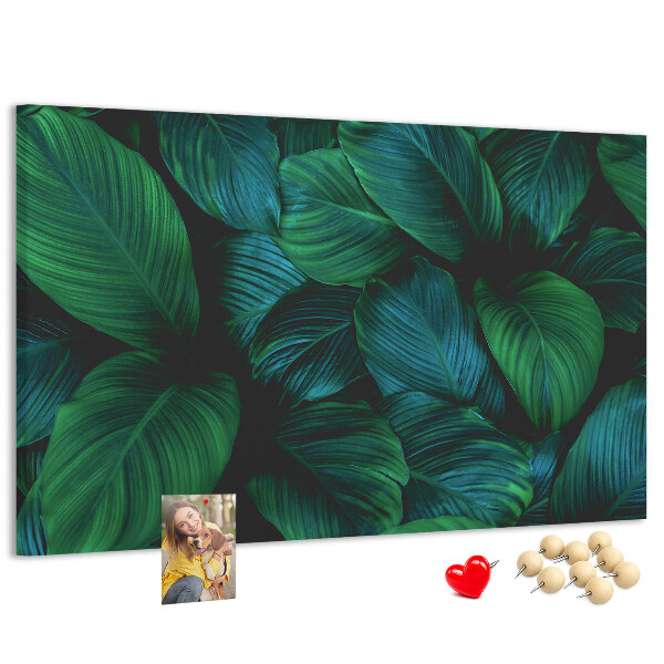 Cork board Nature leaves