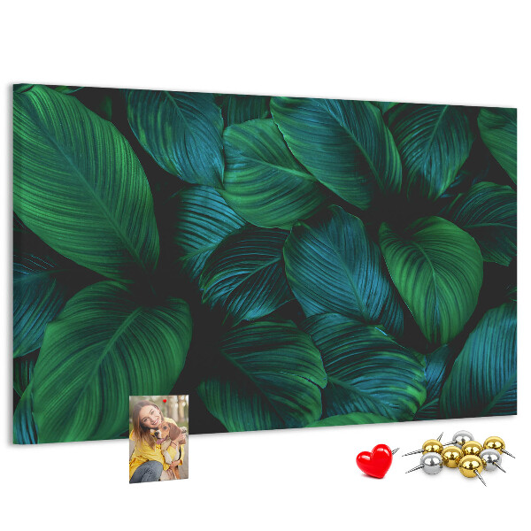 Cork board Nature leaves