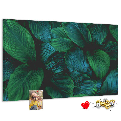 Cork board Nature leaves