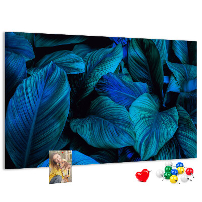 Cork memo board Tropical nature