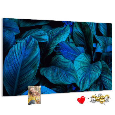 Cork memo board Tropical nature