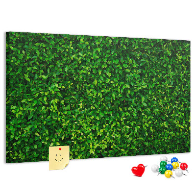 Cork memo board Hedge leaves