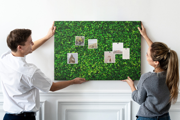 Cork memo board Hedge leaves
