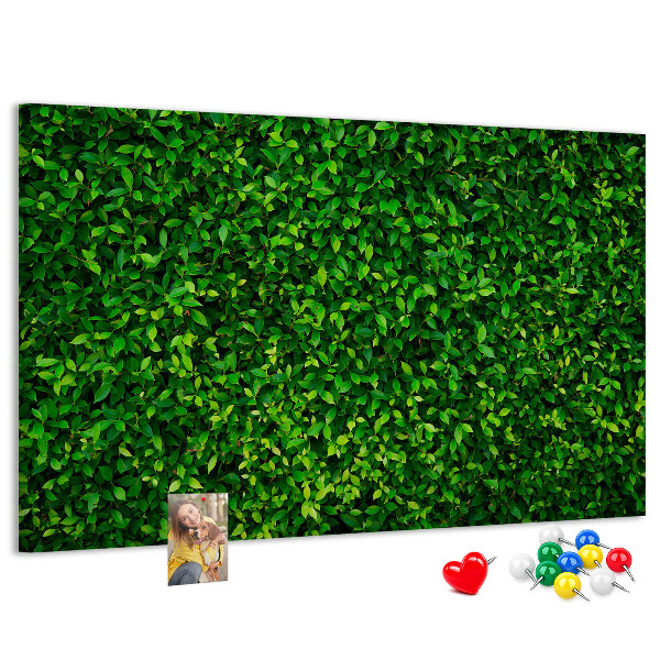 Cork memo board Hedge leaves