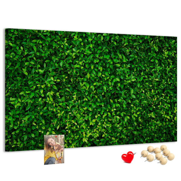 Cork memo board Hedge leaves