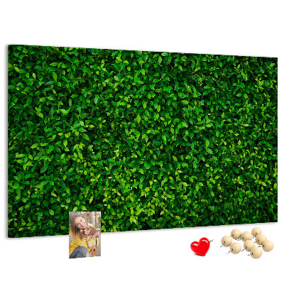 Cork memo board Hedge leaves