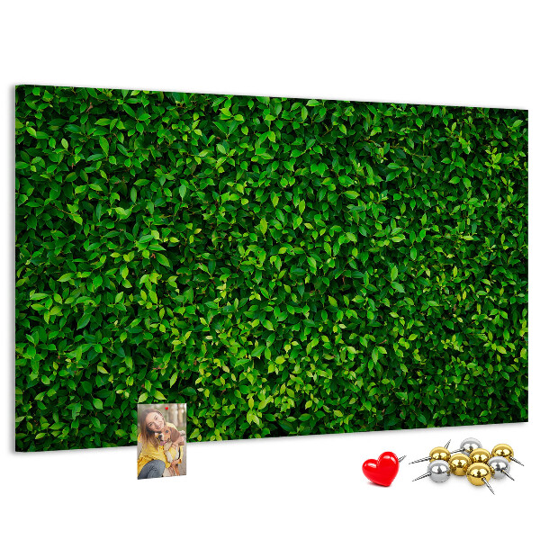 Cork memo board Hedge leaves