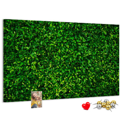 Cork memo board Hedge leaves