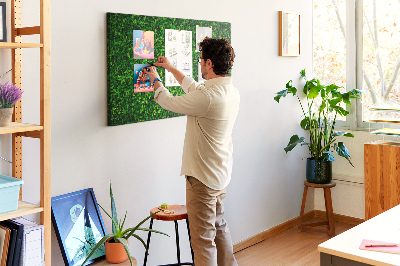 Cork memo board Hedge leaves