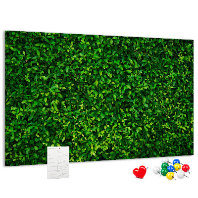 Cork memo board Hedge leaves