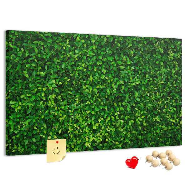 Cork memo board Hedge leaves