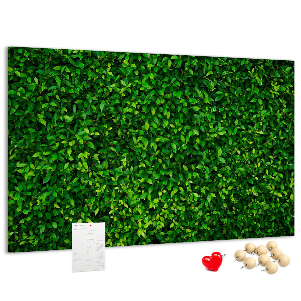 Cork memo board Hedge leaves
