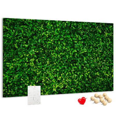 Cork memo board Hedge leaves
