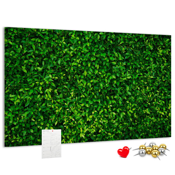Cork memo board Hedge leaves