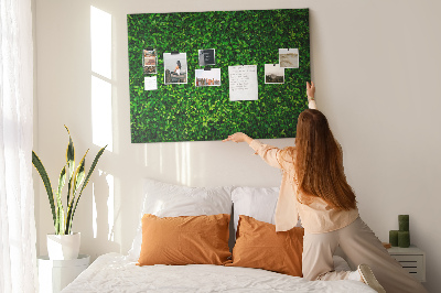 Cork memo board Hedge leaves