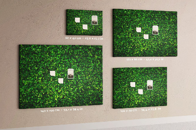 Cork memo board Hedge leaves