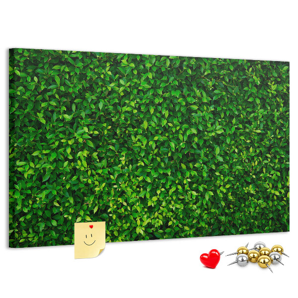 Cork memo board Hedge leaves