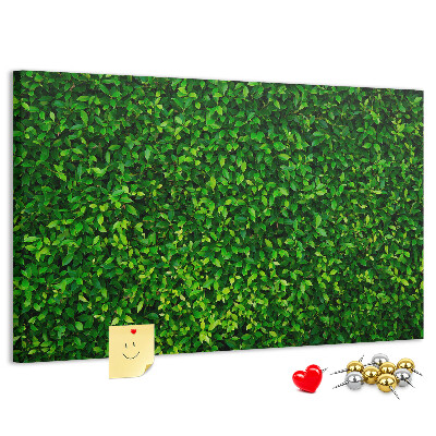 Cork memo board Hedge leaves