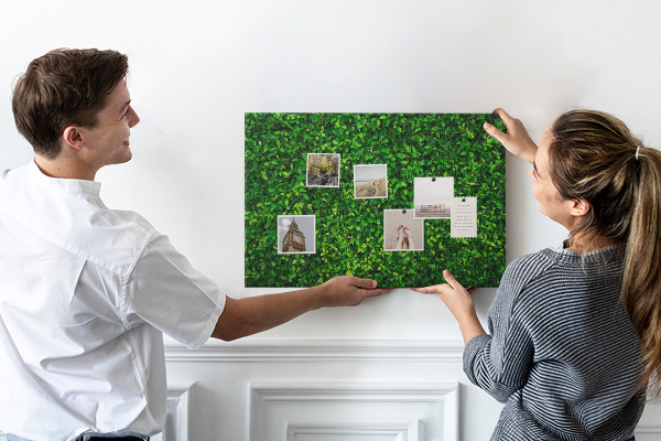 Cork memo board Hedge leaves